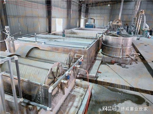 紅薯淀粉加工全流程與關鍵參數解析 從設備選型到出粉率優化